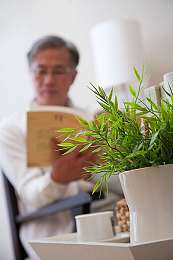 虾仁芝士焖饭的做法